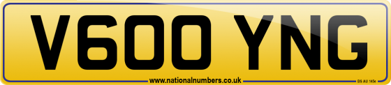 V600 YNG