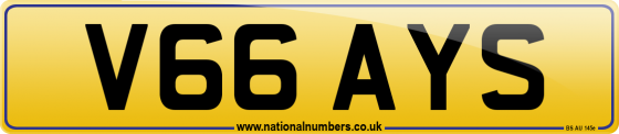 V66 AYS