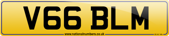 V66 BLM