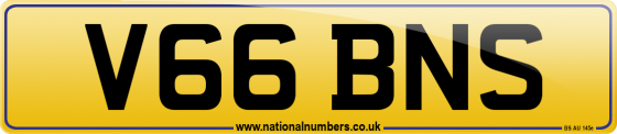 V66 BNS