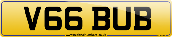 V66 BUB