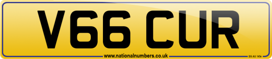 V66 CUR