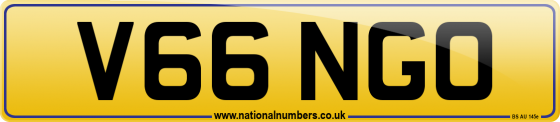 V66 NGO