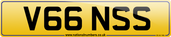 V66 NSS