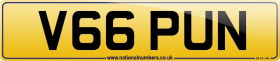 V66 PUN