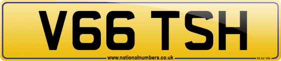V66 TSH