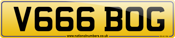 V666 BOG