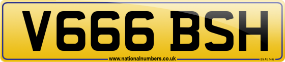 V666 BSH