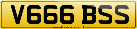 V666 BSS