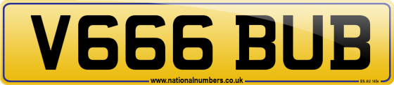 V666 BUB