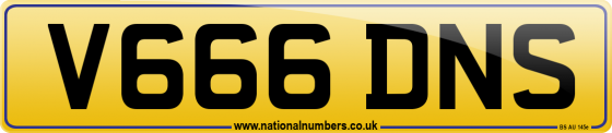 V666 DNS
