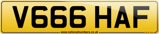 V666 HAF