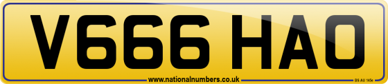 V666 HAO