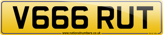 V666 RUT
