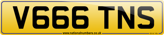 V666 TNS