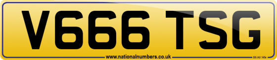 V666 TSG