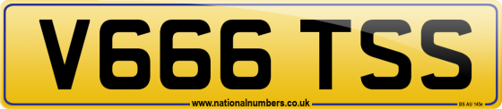 V666 TSS