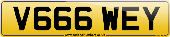 V666 WEY