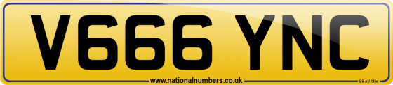 V666 YNC