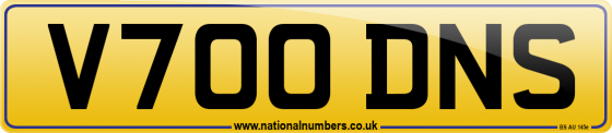 V700 DNS