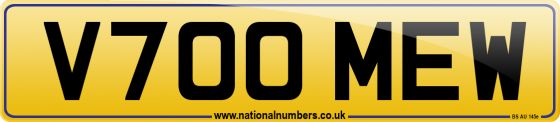 V700 MEW