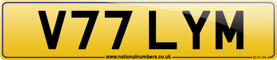 V77 LYM