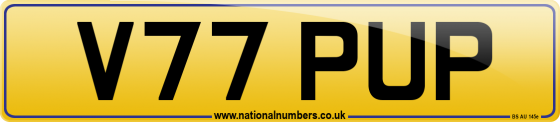 V77 PUP