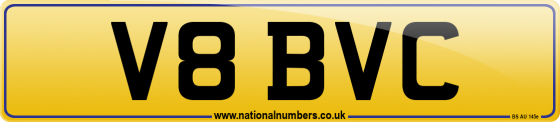 V8 BVC