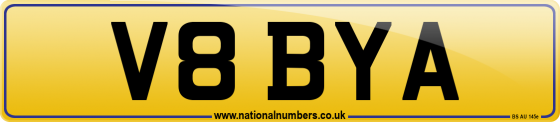 V8 BYA