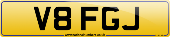 V8 FGJ