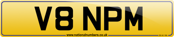 V8 NPM