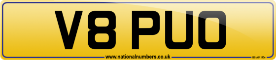 V8 PUO