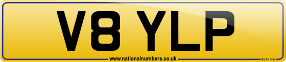 V8 YLP