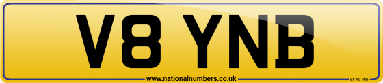 V8 YNB