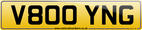 V800 YNG