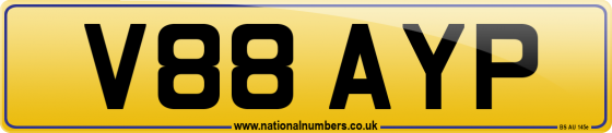V88 AYP