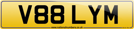 V88 LYM