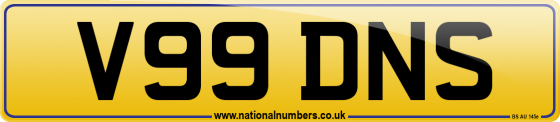 V99 DNS