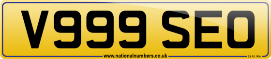 V999 SEO