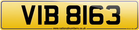VIB 8163