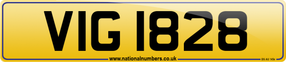VIG 1828