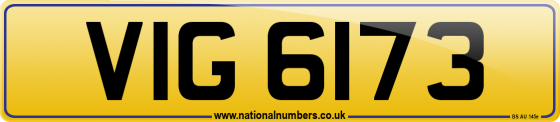 VIG 6173