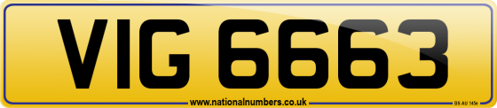 VIG 6663