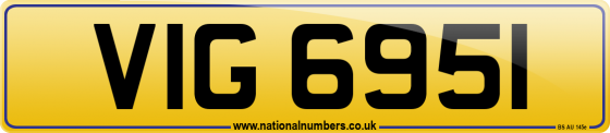 VIG 6951
