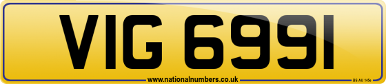 VIG 6991