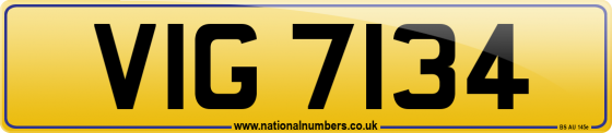 VIG 7134
