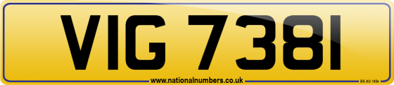 VIG 7381