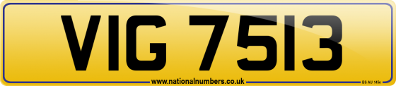 VIG 7513