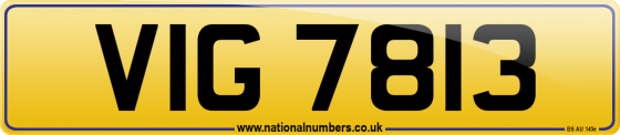 VIG 7813