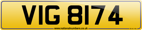 VIG 8174